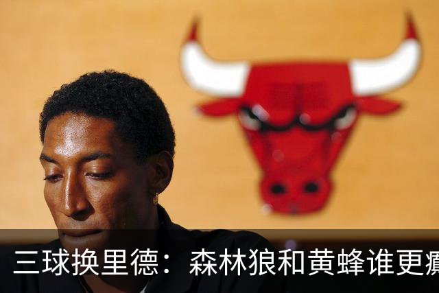 三球换里德：森林狼和黄蜂谁更癫？！