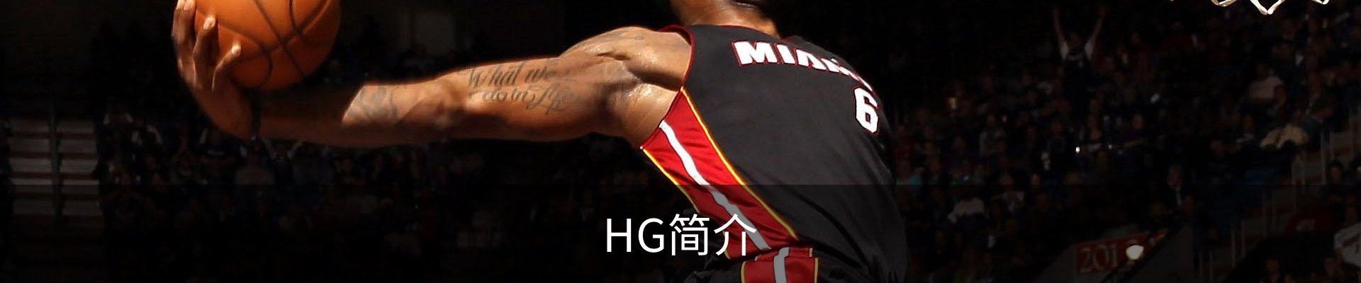 HG简介